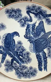 ظروف پذیرایی