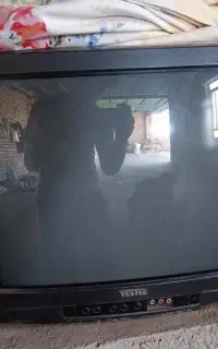 تلویزیون