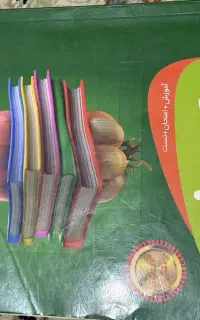 کتاب سیر تا پیاز