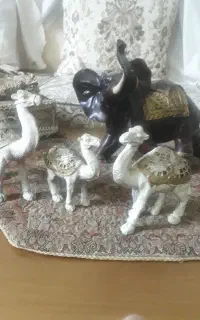 تعدادی دکوری