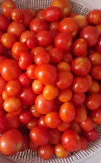 گوجه ریز ۳۰هزار