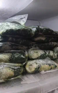 سبزی خورشتی خانگی