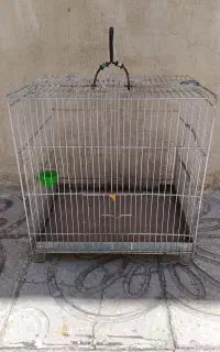 قفس پرنده