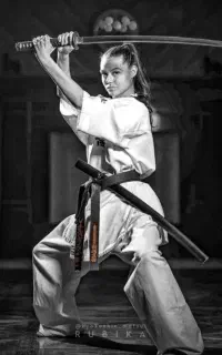 هنر های رزمی کنگ فو