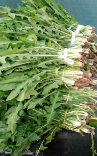 معجزه