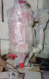 باغداری