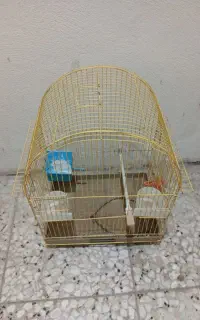 قفس پرنده