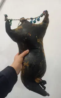 هیزه سالم و نرم