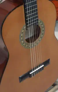 گیتار پارسی
