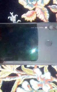 y7p2020