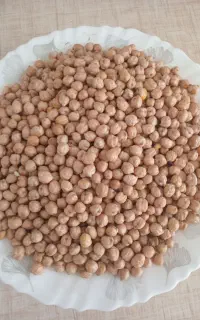 نخود ابگوشی