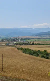 منشی مدیر عامل مسلط به آفیس و پاورپوینت