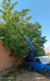 گردوتکانی حرفه‌ای با بالابر نیسان تادانو