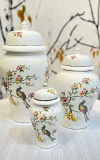 ترندترین جینجر جارهای دکوراتیو و تزیینی