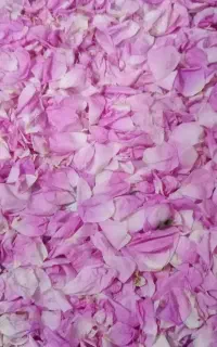 پخش ادویه های درجه یک