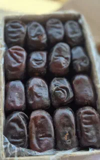 تناژ ...مضافتی وکلوته وربی موجود
