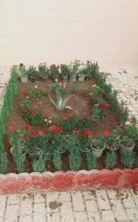 باغبانی و سمپاشی درخت کاری گل کاری کودهی