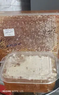 فروش انواع عسل از کندو تا سفره شما