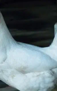 بلوبانک