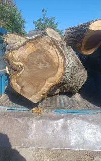 مرکز خریدوفروش «نقدی»چوب و تعمیرات انواع اره موتور