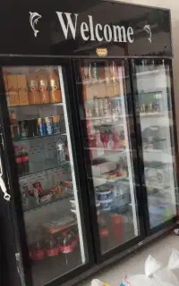 یخچال و فریزر بستنی