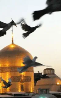 اقساطی برو مشهد