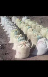 کود گوسفندی پوسیده گونی