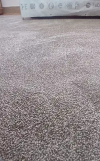 پالاز موکت