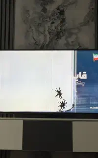 تلویزیون سامسونگ ۵۵ پنل ضربه خورده