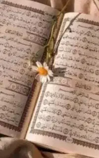 فال قرانی