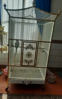 قفس آهنی مخصوص پرنده