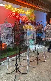قفس طوطی برزیلی ++کوتوله