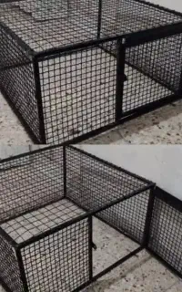 سفارش قفس