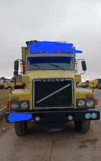ولوو