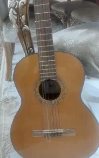 گیتار کورت مدل AC15