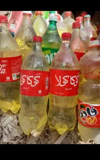 ظروف یک بار مصرف
