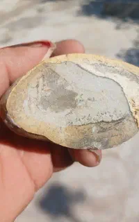 انواع سنگ جاسپر منظره ای