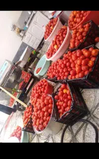 آبگیری کوجه بادستگاه استیل با دستکش مخصوص