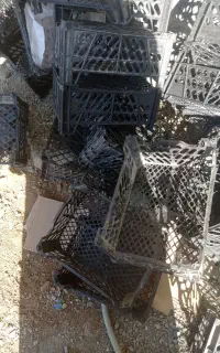 سبد جای میوه