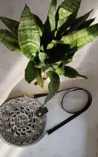 کیف ترند