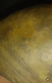 سنگ  باستانی