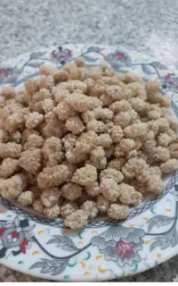 توت بی هسته  داروی