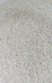 انواع برنج و چای و گردو با کیفیت و قیمت مناسب