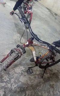 دوچرخه