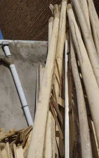 چوب سقف