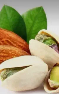 خرید انواع بادام وپسته ‌‌            ‌حسن سروری