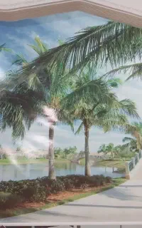 پرده زبرا