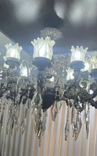 2 عدد لوستر  8 شاخه