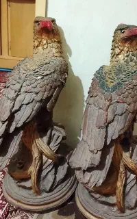 مجسمه عقاب ست