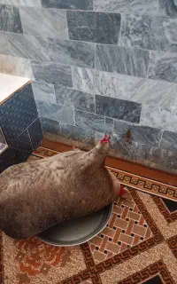 ظروف نگهداری